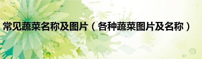 常见蔬菜名称及图片（各种蔬菜图片及名称）