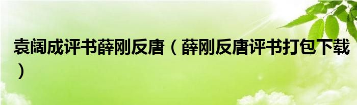 袁阔成评书薛刚反唐（薛刚反唐评书打包下载）