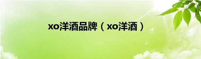 xo洋酒品牌（xo洋酒）