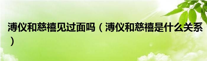 溥仪和慈禧见过面吗（溥仪和慈禧是什么关系）