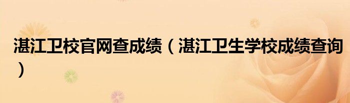 湛江卫校官网查成绩（湛江卫生学校成绩查询）