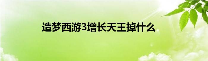 造梦西游3增长天王掉什么