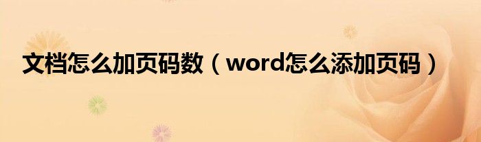 文档怎么加页码数（word怎么添加页码）