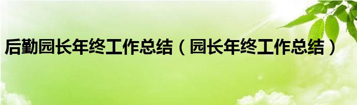 后勤园长年终工作总结（园长年终工作总结）