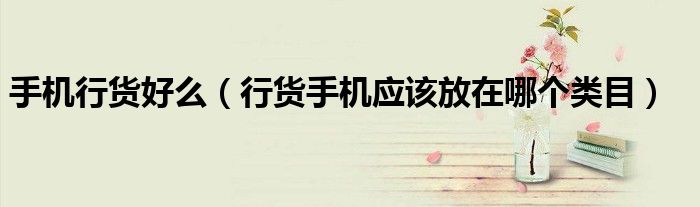 手机行货好么（行货手机应该放在哪个类目）