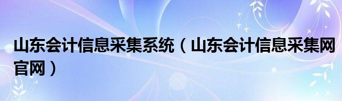 山东会计信息采集系统（山东会计信息采集网官网）