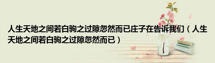 人生天地之间若白驹之过隙忽然而已庄子在告诉我们（人生天地之间若白驹之过隙忽然而已）