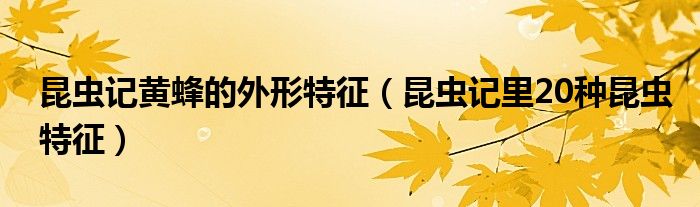 昆虫记黄蜂的外形特征（昆虫记里20种昆虫特征）