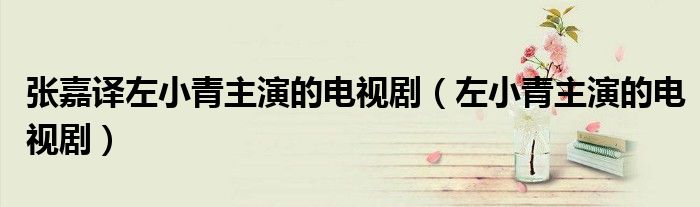 张嘉译左小青主演的电视剧（左小青主演的电视剧）