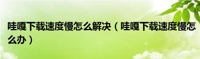 哇嘎下载速度慢怎么解决（哇嘎下载速度慢怎么办）