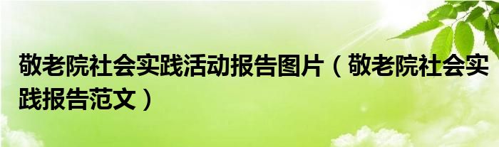 敬老院社会实践活动报告图片（敬老院社会实践报告范文）