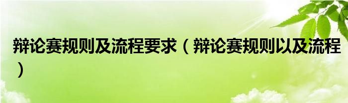 辩论赛规则及流程要求（辩论赛规则以及流程）