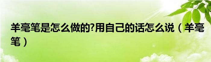 羊毫笔是怎么做的?用自己的话怎么说（羊毫笔）