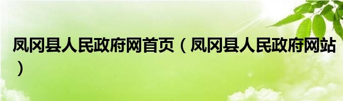 凤冈县人民政府网首页（凤冈县人民政府网站）