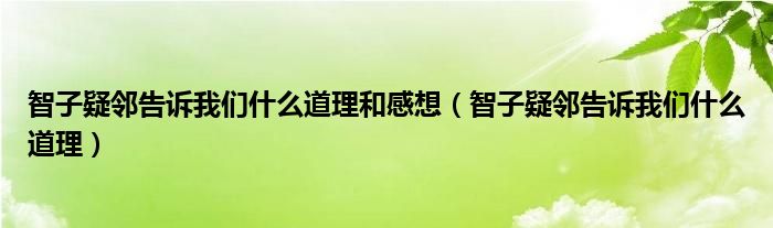 智子疑邻告诉我们什么道理和感想（智子疑邻告诉我们什么道理）