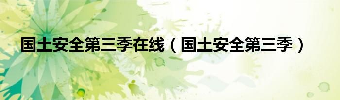 国土安全第三季在线（国土安全第三季）