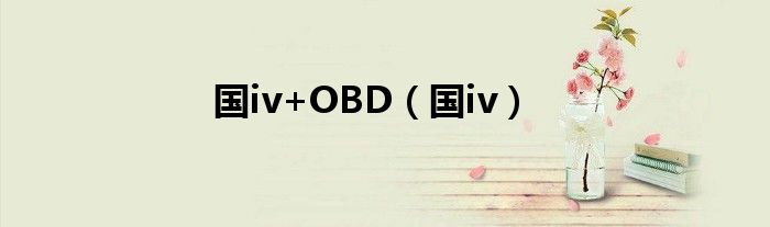 国iv+OBD（国iv）