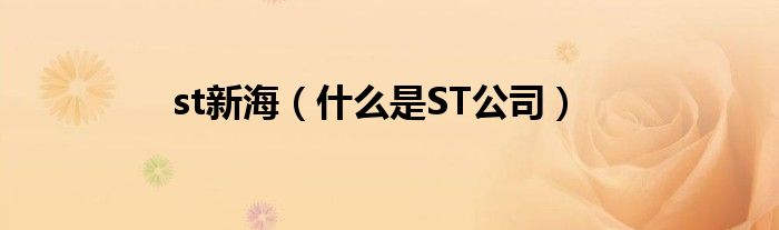 st新海（什么是ST公司）