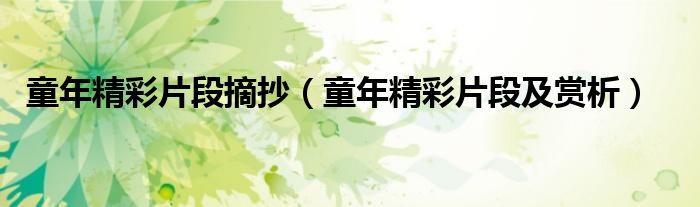 童年精彩片段摘抄（童年精彩片段及赏析）