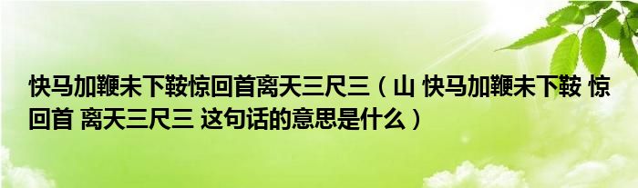 快马加鞭未下鞍惊回首离天三尺三（山 快马加鞭未下鞍 惊回首 离天三尺三 这句话的意思是什么）