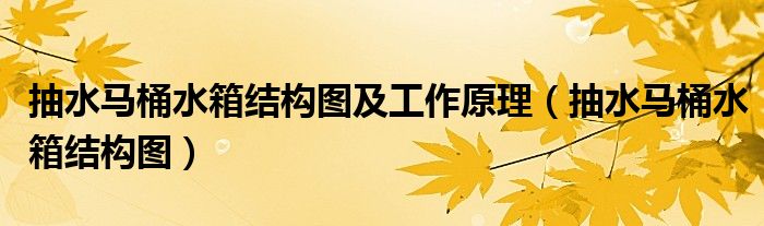 抽水马桶水箱结构图及工作原理（抽水马桶水箱结构图）