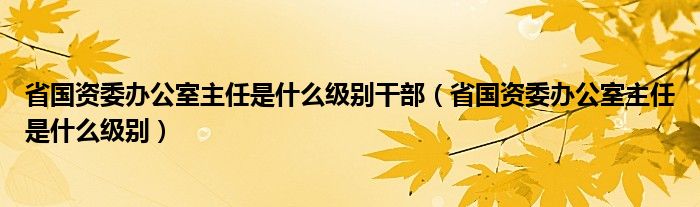 省国资委办公室主任是什么级别干部（省国资委办公室主任是什么级别）