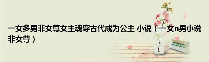 一女多男非女尊女主魂穿古代成为公主 小说（一女n男小说非女尊）