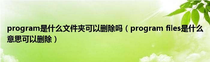 program是什么文件夹可以删除吗（program files是什么意思可以删除）