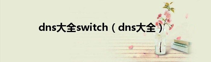 dns大全switch（dns大全）