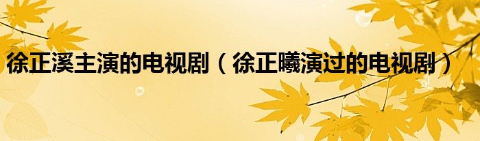 徐正溪主演的电视剧（徐正曦演过的电视剧）