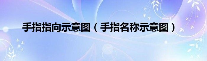 手指指向示意图（手指名称示意图）