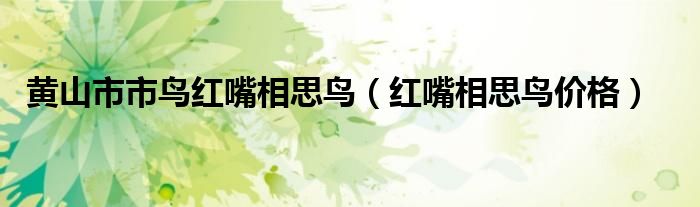 黄山市市鸟红嘴相思鸟（红嘴相思鸟价格）