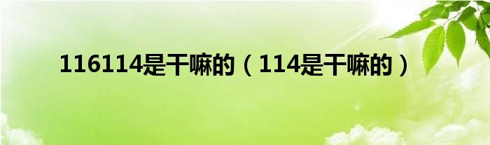 116114是干嘛的（114是干嘛的）