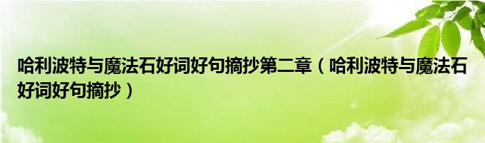 哈利波特与魔法石好词好句摘抄第二章（哈利波特与魔法石好词好句摘抄）