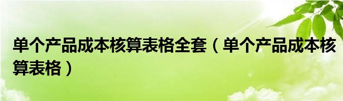 单个产品成本核算表格全套（单个产品成本核算表格）