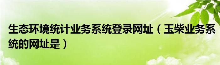 生态环境统计业务系统登录网址（玉柴业务系统的网址是）