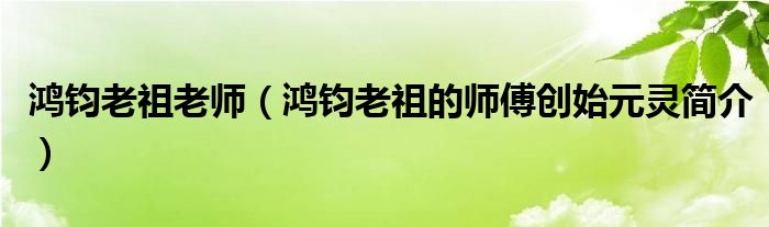 鸿钧老祖老师（鸿钧老祖的师傅创始元灵简介）