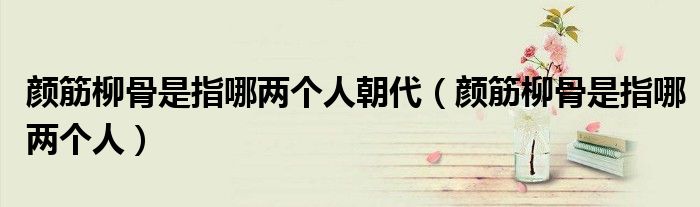 颜筋柳骨是指哪两个人朝代（颜筋柳骨是指哪两个人）