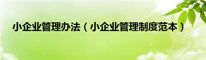 小企业管理办法（小企业管理制度范本）