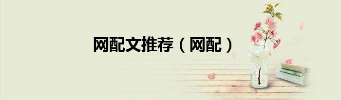 网配文推荐（网配）