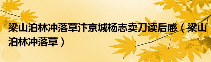 梁山泊林冲落草汴京城杨志卖刀读后感（梁山泊林冲落草）