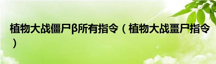 植物大战僵尸β所有指令（植物大战畺尸指令）