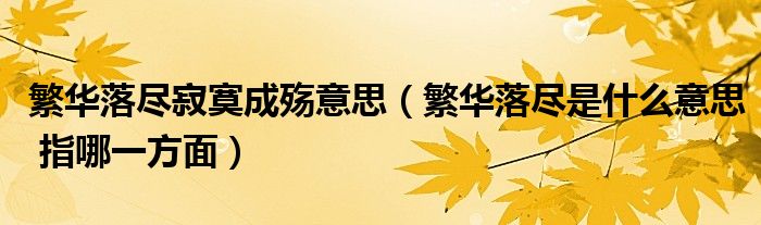 繁华落尽寂寞成殇意思（繁华落尽是什么意思 指哪一方面）