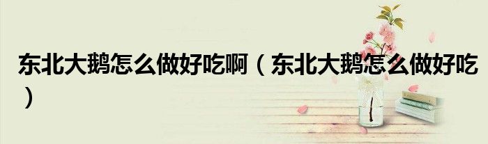 东北大鹅怎么做好吃啊（东北大鹅怎么做好吃）