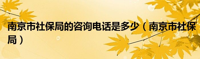 南京市社保局的咨询电话是多少（南京市社保局）