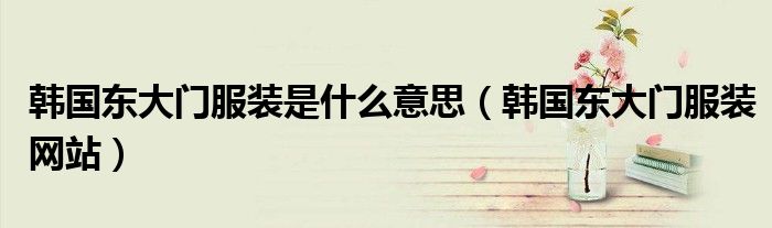 韩国东大门服装是什么意思（韩国东大门服装网站）