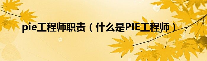 pie工程师职责（什么是PIE工程师）