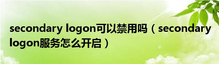 secondary logon可以禁用吗（secondary logon服务怎么开启）