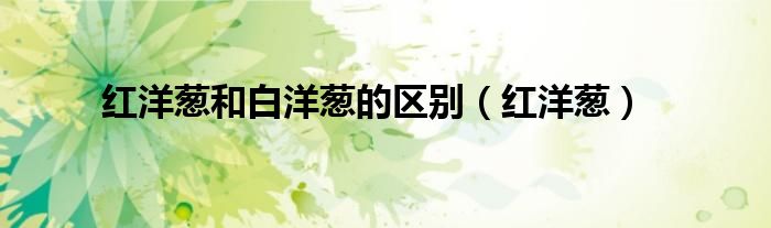 红洋葱和白洋葱的区别（红洋葱）