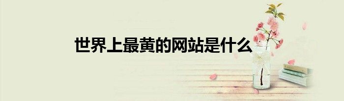 世界上最黄的网站是什么